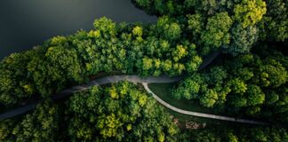 ATEMMUO NSℇM NO NEA ℇTƆSO MMIENU NNI