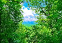 The Evil That Men Do – Isaiah 5:11-30