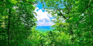 The Evil That Men Do – Isaiah 5:11-30