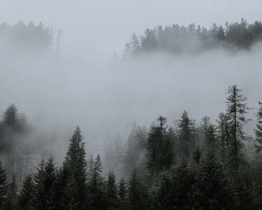 Wiase ntumi nnye no no Honhom Kronkron Hwieguo.