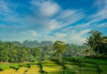 Nokorℇ Honhom a Wiase Ntumi Nnye No No Nokorℇ Honhom a Wiase Ntumi Nnye No No