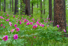 THIS IS THE FIRST JUDGEMENT MESSAGE TO THE PEOPLE OF THIS WORLD